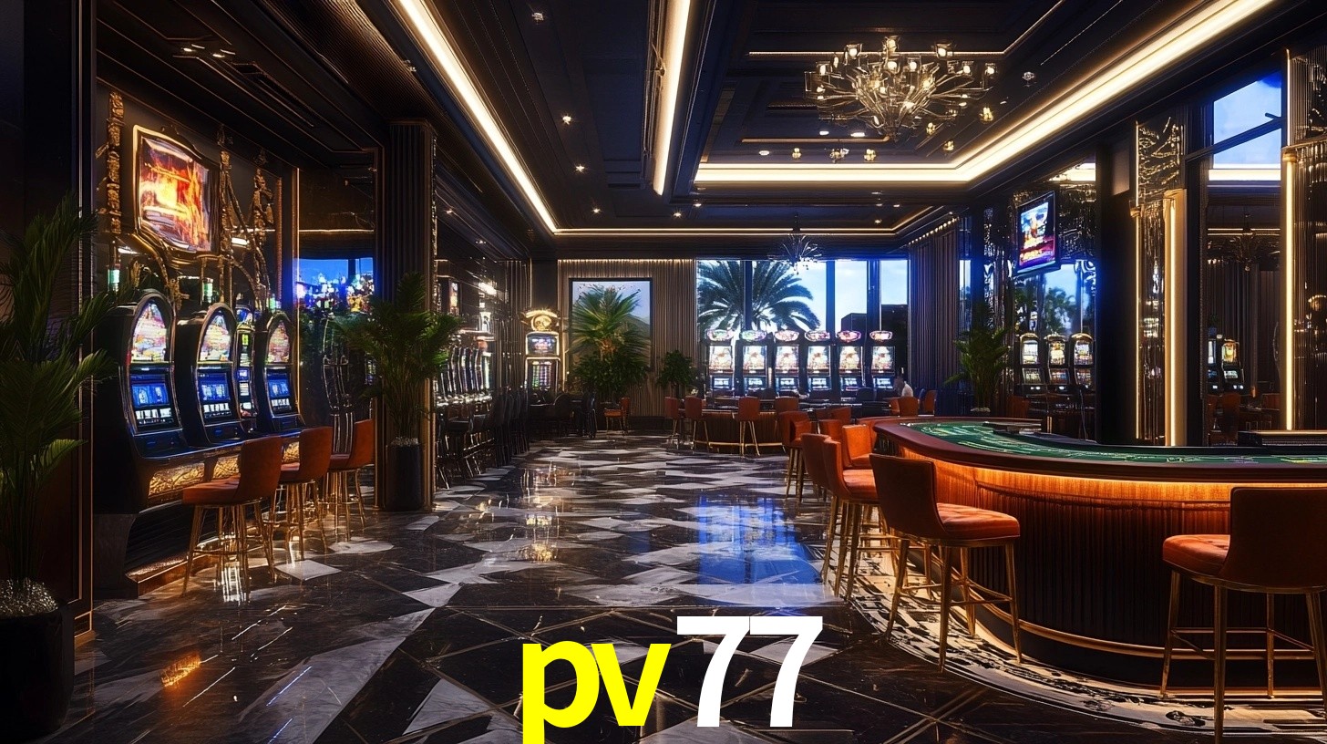 Premium Interface pv77